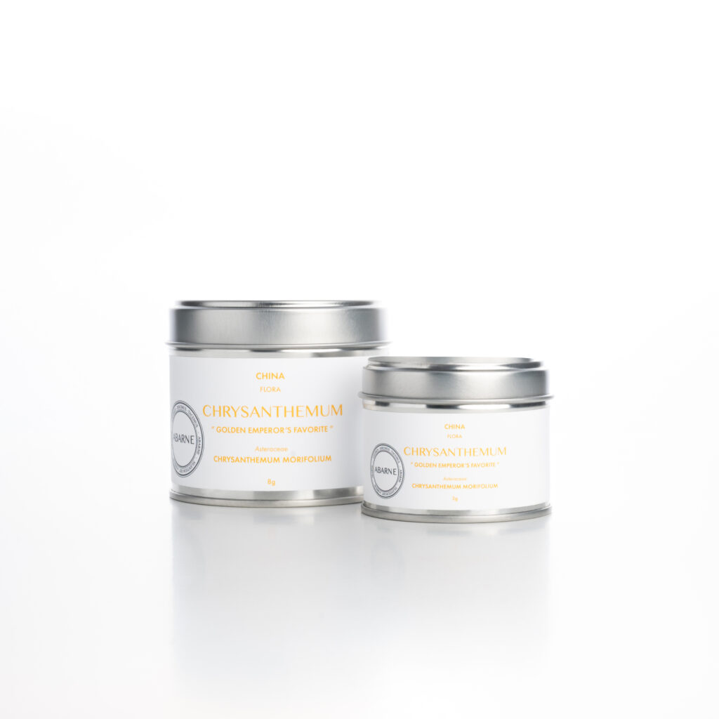 Chrysanthemum tin duo