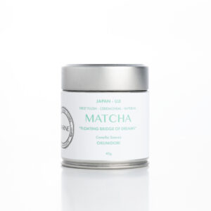 Feature floating bridge of dream