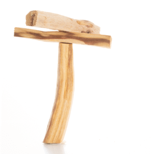 Feature image palo santo