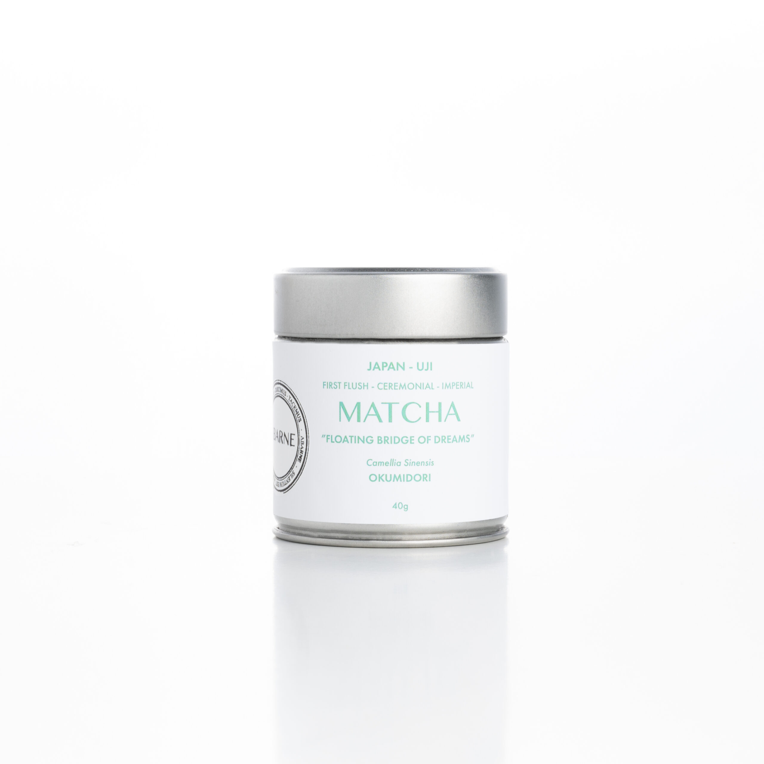 Floating-bridge-of-dreams