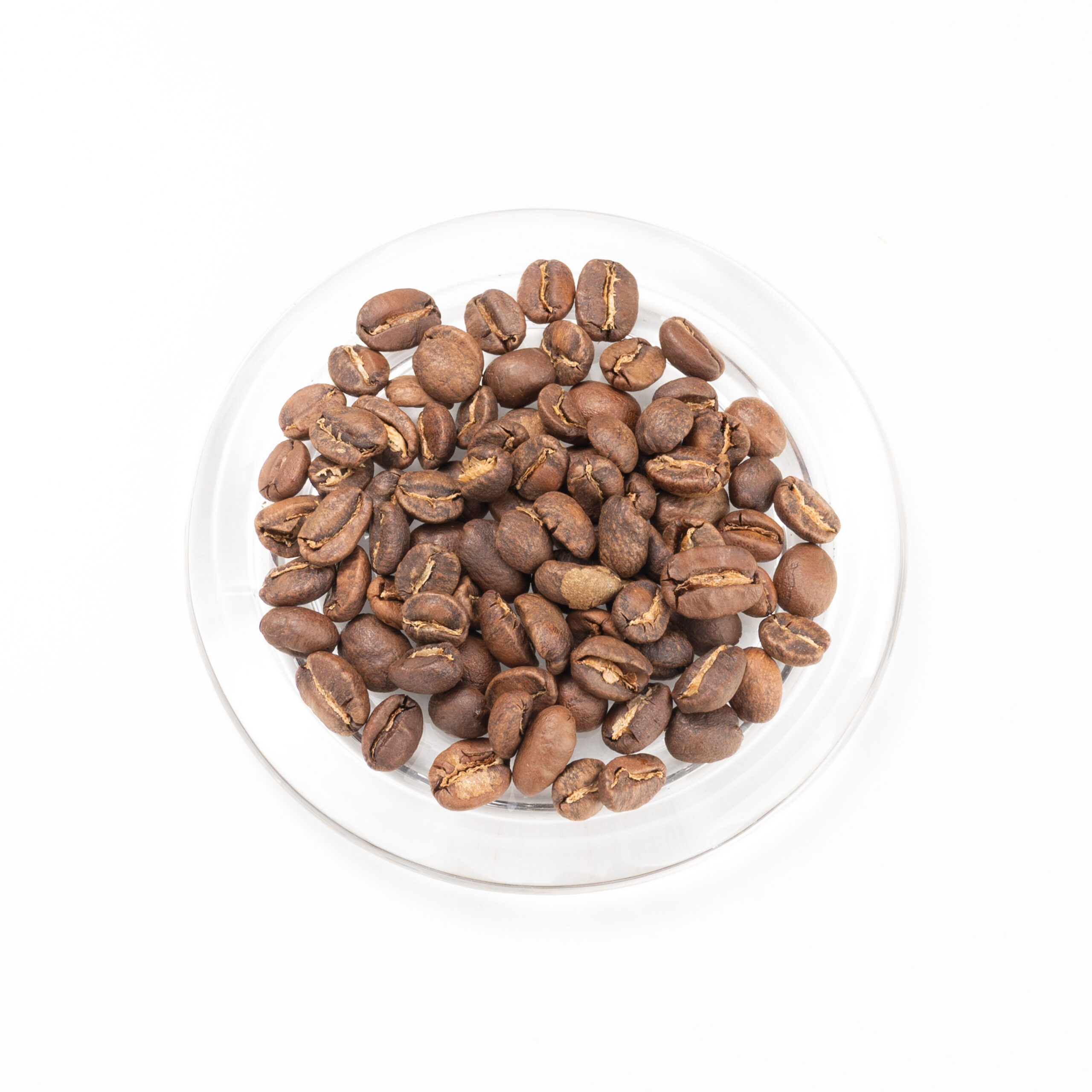 Fuerzaxjaguars-grains